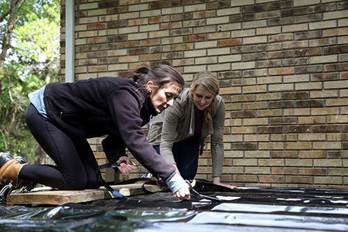 Two women installing Trex RainEscape